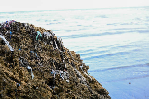 istock Plastic waste on the beach coral 1926795486