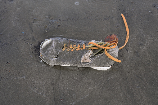 Old shoes washed up on the beach