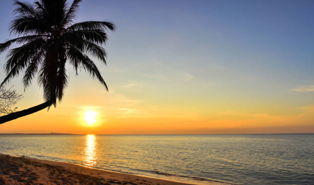 istock sunset on the beach in the caribbean sea 1926814384