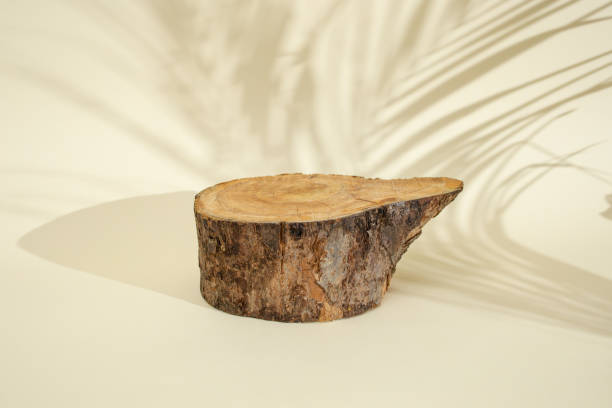 istock Tree thick cross section on beige background with defocused palm leaves shadows, abstract backdrop 1926815938