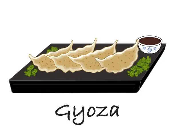 Vector illustration of Gyoza dumplings Japanese traditional food vector illustration