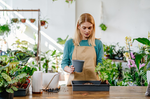 Middle Age Blond Woman Working in Her Plant Store Surrounded by a Myriad of Hues, Attentively Tending to Various Plants, and Creating a Lively, Nice Atmosphere.