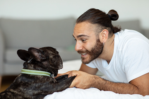 Happy young man playing with dog french bulldog in the bed in the morning time. Millennial guy wakes up and doggy pet standing next to bed. Concept of friendship between human and animal