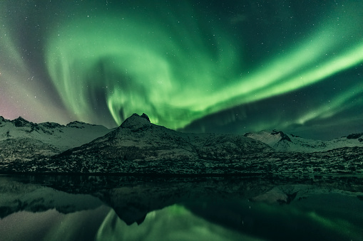 Northern Lights, polar light or Aurora Borealis in the night sky over the Lofoten islands in Northern Norway. Clear beam raising up from the high snow and ice covered peaks in the distance with the light reflected in the fjord in the foreground.