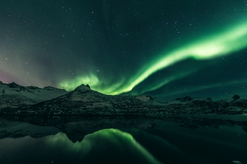 Northern Lights, polar light or Aurora Borealis in the night sky over the Lofoten islands in Northern Norway. Clear beam raising up from the high snow and ice covered peaks in the distance with the light reflected in the fjord in the foreground.