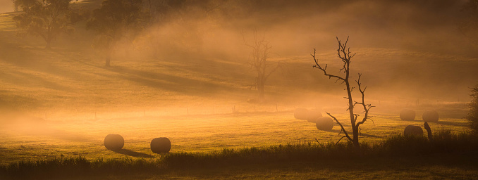 A peaceful scene with hay bales at sunrise shrouded in a light fog