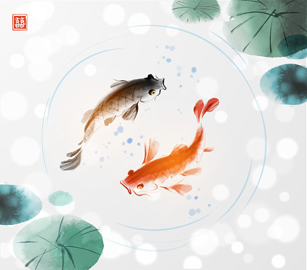 Black and red koi carps elegantly swimming in a tranquil pond on white glowing background. Symbolizing balance and beauty in nature. Hieroglyph - double luck