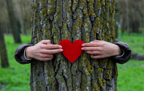 istock White woman's arms encircling a tree in the forest 1926915201