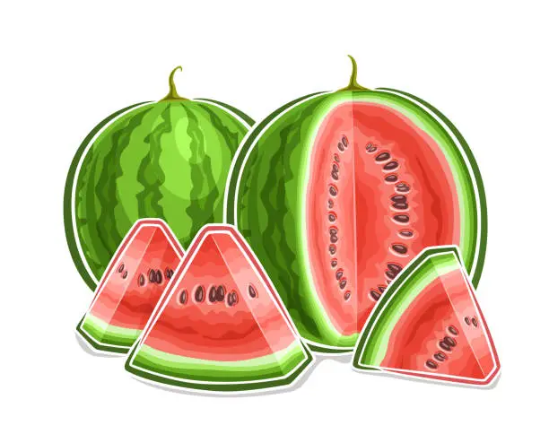Vector illustration of Vector logo for Watermelon