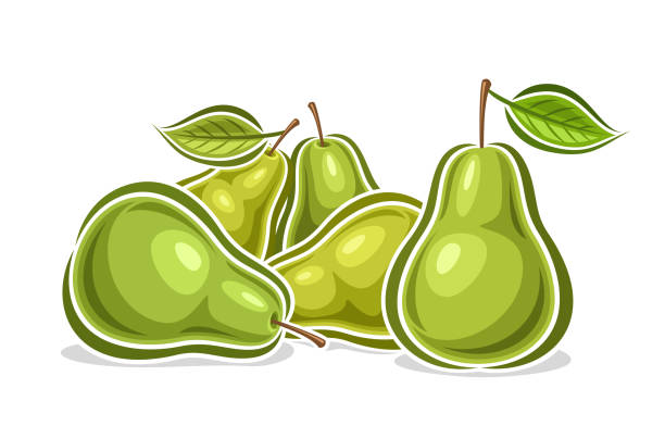 ilustraciones, imágenes clip art, dibujos animados e iconos de stock de vector logo for green pears - white background stack heap food and drink