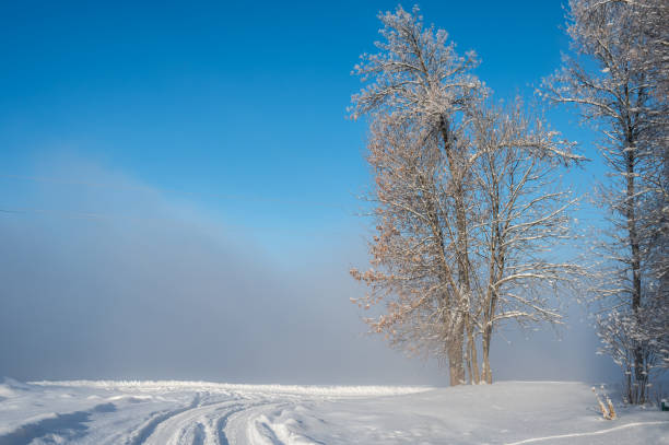 istock Suburban road through winter forest covered with snow. 1926930055