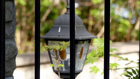 The lantern behind the fence.