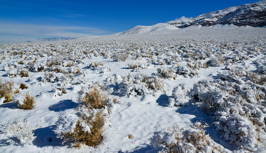 Snow in the mountains, Snow-covered mountain pass, desert plants under the snow in summer.  Death Valley National Park, California