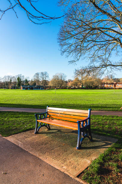 istock The lonely bench in the winte 1926988823