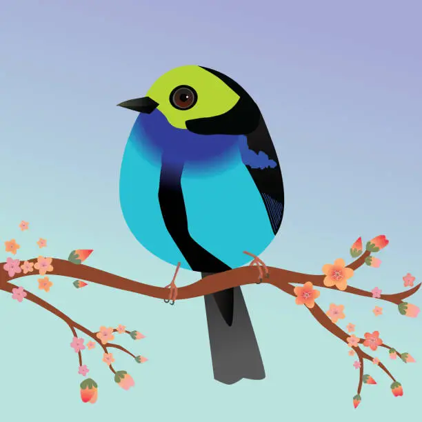 Vector illustration of Cute egg shaped Paradise tanager