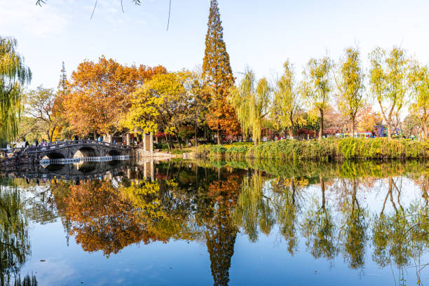 istock Urban parks in Suzhou 1927015840