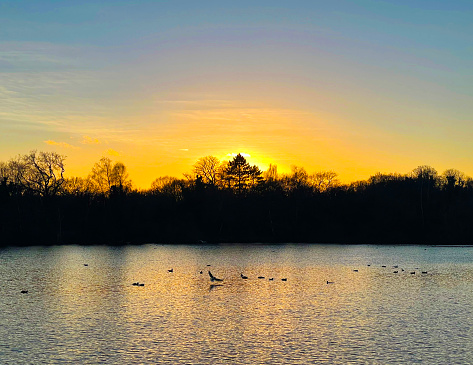 Sun rise over eagle Pond in Epping Forest at Snaresbrook, London