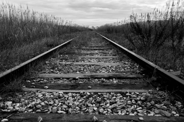 Abandoned railroad track near Arles (Provence, France) in winter, black and white