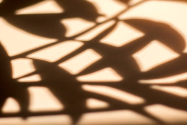 istock Shadow of leaves on a beige background, Wall light with shadows, shadow on beige wall background texture. 1927040222