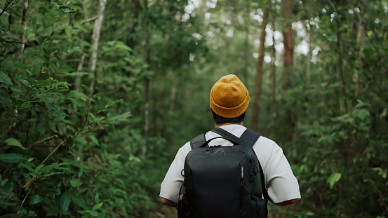 A man backpacker traveling alone in forest wild. Young man hiking trip through the green forest with backpacks. Asian man traveler explore while walking in green forest. Travel and backpack concept