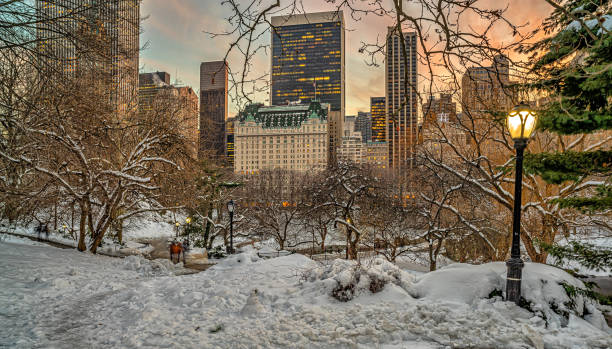 istock Central Park in winter after snow storm 1927066686