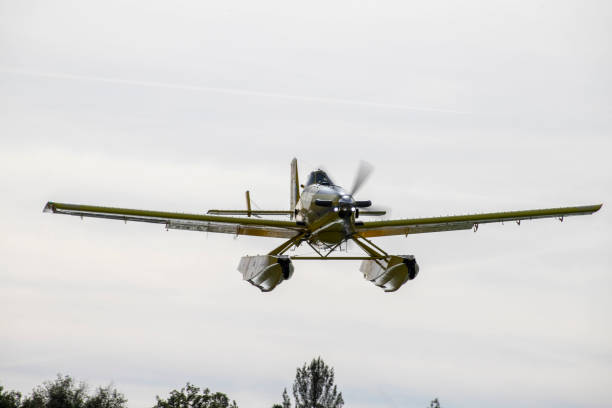 istock small planes and helicopters carrying out practices with swamp water 1927075722