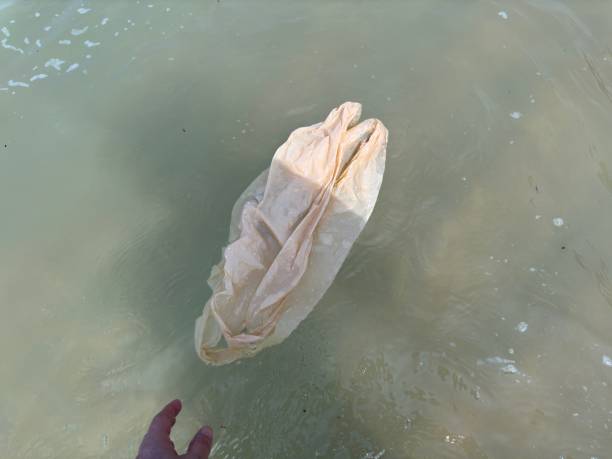 plastic bag floating in the ocean