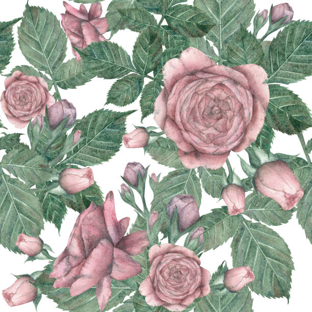 istock Seamless pattern with delicate pink roses and green leaves in vintage style. Watercolor illustration. International Women's Day. Template for postcards, packaging, floristry, textile, print, wallpaper 1927115432