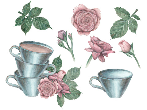 Watercolor set of porcelain blue cups and pink roses with greenery in vintage style, highlighted on a white background. Illustration, clipart. Template for the design of postcards, fabrics, dishes.