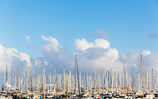 Many sailing yachts with lowered sails are moored at the pier in the port.