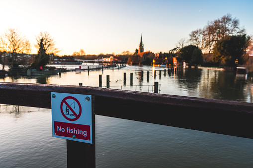 A no fishing sign on a post with a river