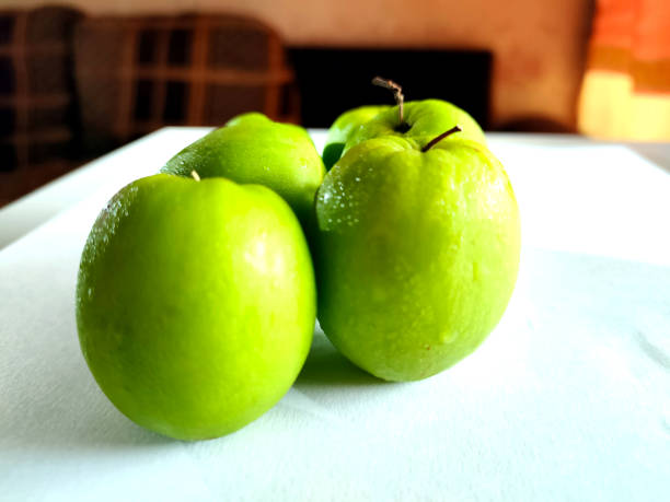 buah bidara