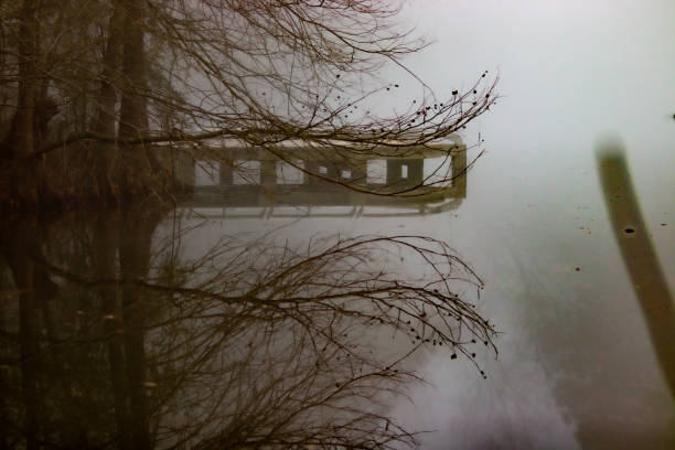 reflets brumeux du lac du matin - water lake reflection tranquil scene photos et images de collection