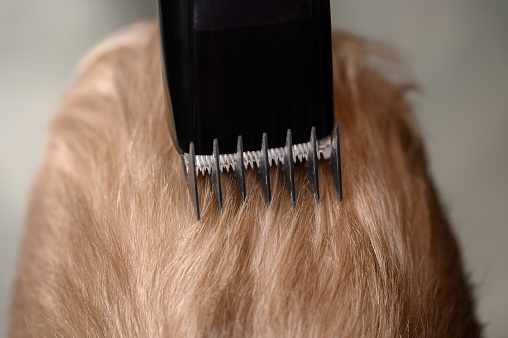 Haircuts of a boy's blond hair with a clipper in a barbershop, close-up. Hair care concept