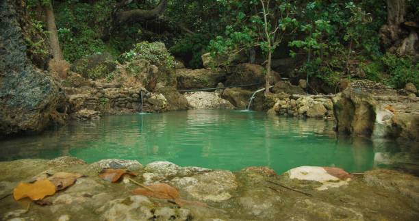 istock Secluded jungle spring water with natural pool 1927154149