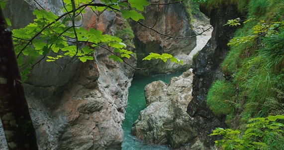 Rocky gorge and mountain river with clear spring water stream. Wet leaves on trees during rain. Impressive lookout point on Dark Gorge Lammerklamm in Austria, Scheffau.