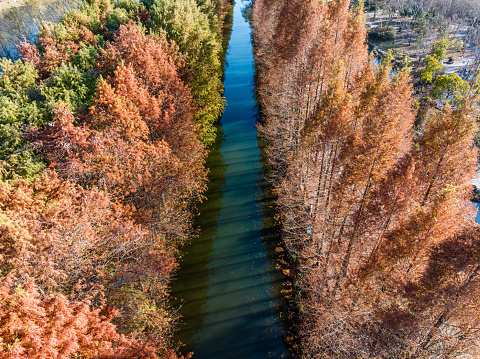 Huqiu Wetland Park, Jiangsu, Suzhou, China