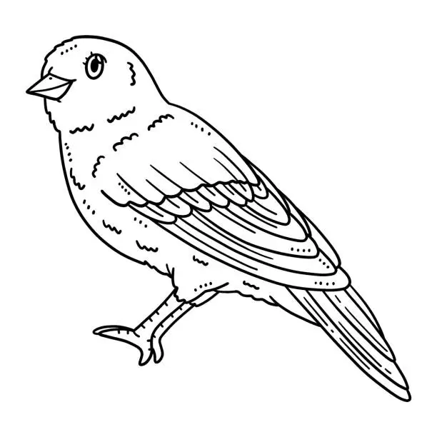 Vector illustration of Canary Bird Isolated Coloring Page for Kids