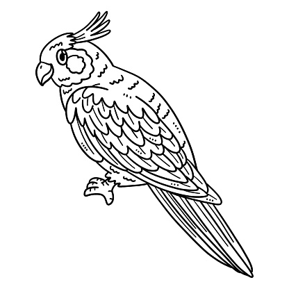 A cute and funny coloring page of a Cockatiel Bird. Provides hours of coloring fun for children. To color, this page is very easy. Suitable for little kids and toddlers.