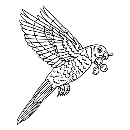 A cute and funny coloring page of a Loriini Bird. Provides hours of coloring fun for children. To color, this page is very easy. Suitable for little kids and toddlers.
