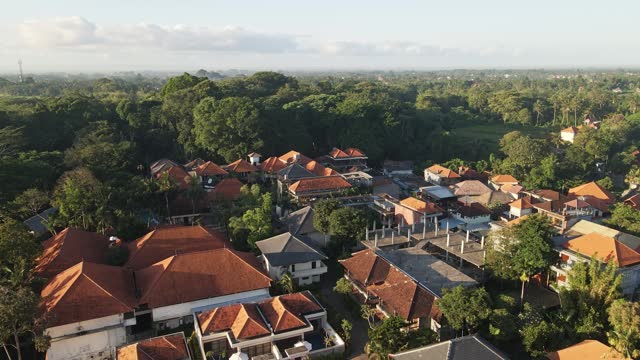 Villas surrounded by dense palm trees in cultural town of Ubud during sunrise with Monkey forest at he background filmed in Bali, Indonesia.