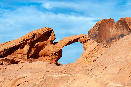 An image of the vast Arizona desert, capturing its stark and rugged beauty. The expansive landscape is characterized by arid terrain, towering cacti, and the dramatic play of light and shadows under the wide, open sky, epitomizing the harsh yet captivating essence of the American Southwest.