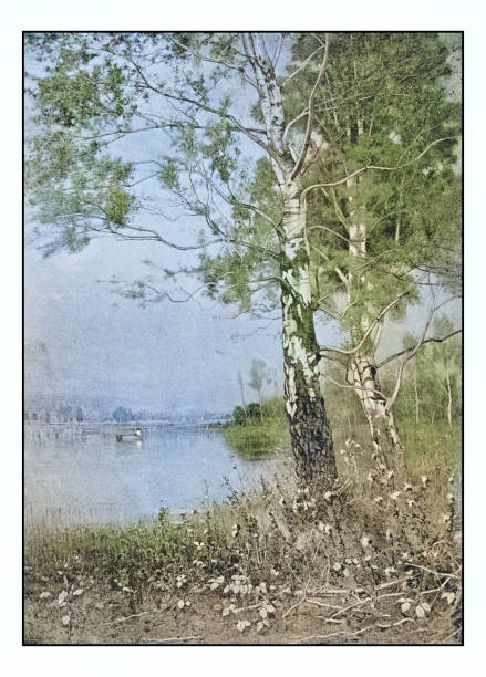 istock Antique photo of paintings: Landscape 1927193850