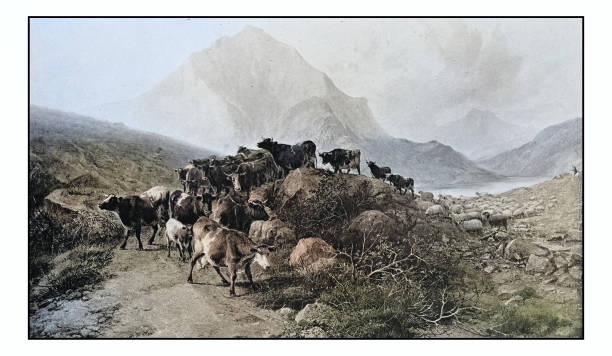 istock Antique photo of paintings: Landscape 1927206755