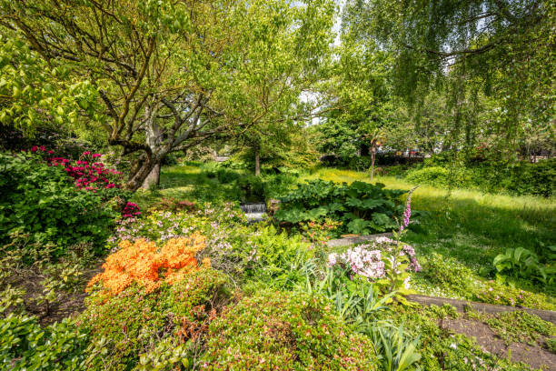istock Lush planting in Bournemouth central gardens 1927222849