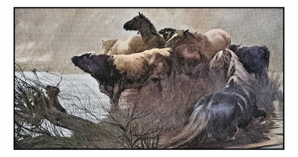 istock Antique photo of paintings: Animals 1927233067