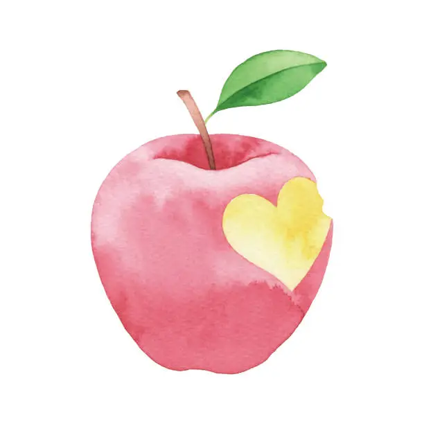 Vector illustration of Watercolor Apple With A Heart