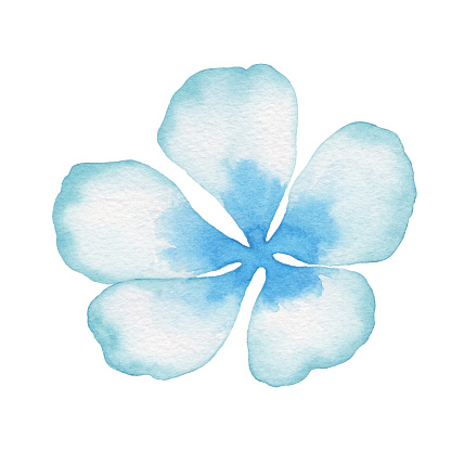 A watercolor painting of blue flower.