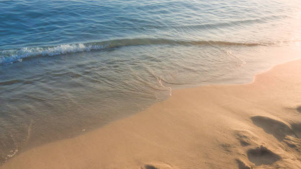 sandy beach - textured nature hurricane caribbean sea 뉴스 사진 이미지