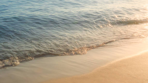 sandy beach - textured nature hurricane caribbean sea 뉴스 사진 이미지